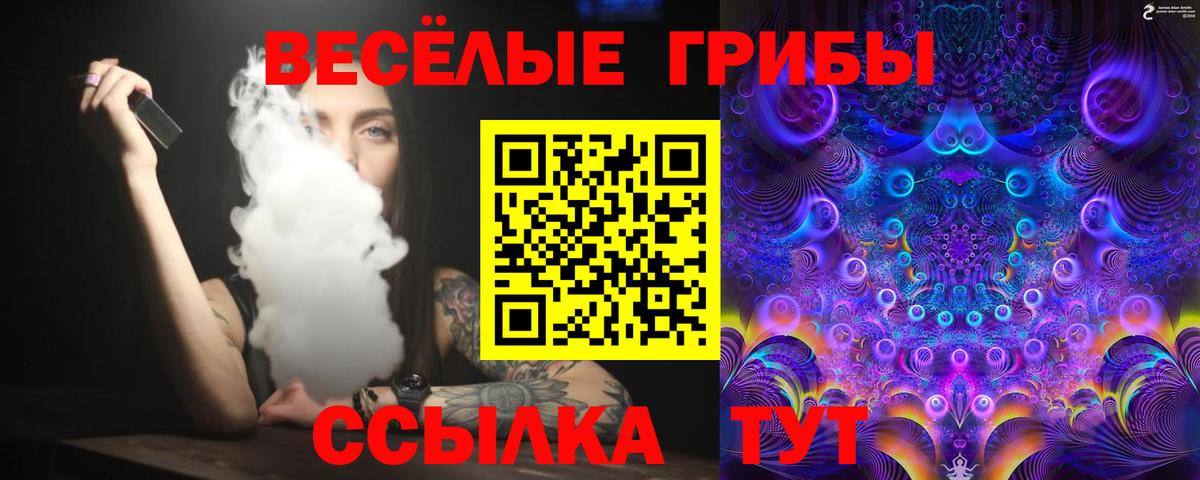 Псилоцибиновые грибы прущие грибы  Галлюциногенные грибы Psilocybe  Вход с VPN  Шадринск 
