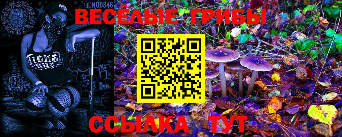 Галлюциногенные грибы MAGIC MUSHROOMS Шадринск
